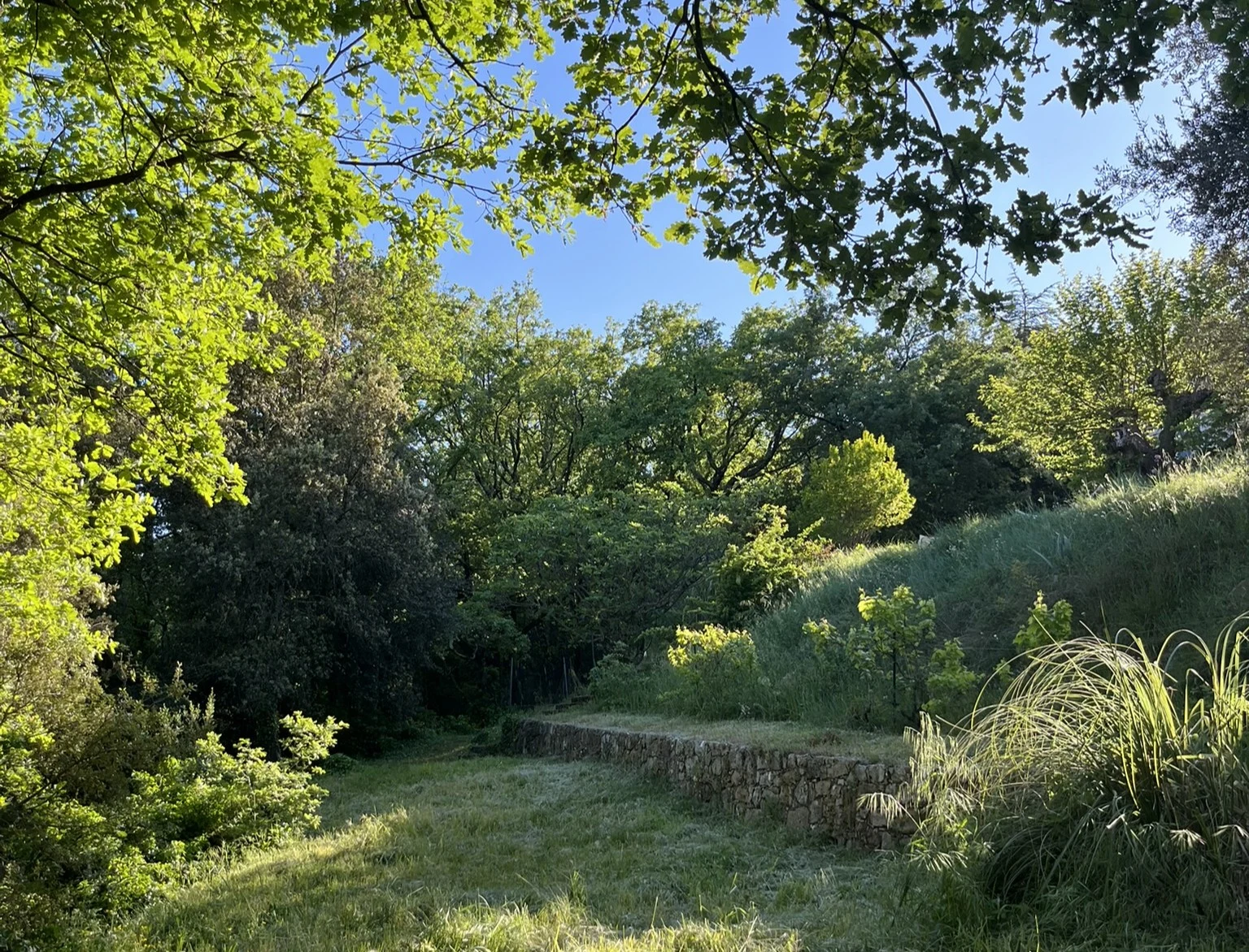 Le parc naturel et arboré du Domaine dans le Haut Var